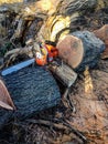 Husqvarna Chainsaw Resting on Logs Royalty Free Stock Photo