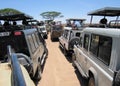 Hustle and bustle during game drive Serengeti