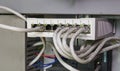 Image shows Schneider multimode fiber switch. Royalty Free Stock Photo