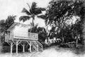 Hut on beach with palm trees in pencil drawing style Royalty Free Stock Photo