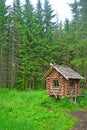 Hut on chicken legs in Dendrology garden in Pereslavl-Zalessky city