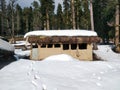 hut in deodar forest