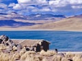 hut at the edge of the altiplanicas lagunas