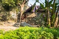 Hut in the forest which sun hemp field as foreground. Royalty Free Stock Photo