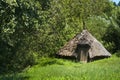 Hut in forrest Royalty Free Stock Photo