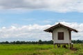 Hut with green rice fields during the day Royalty Free Stock Photo