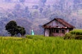 hut house in the mountain rice field area Royalty Free Stock Photo