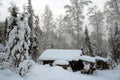 Hut of the hunter in the Siberian taiga Royalty Free Stock Photo