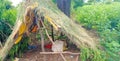 Hut in Indian farm Royalty Free Stock Photo