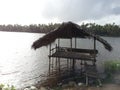 Hut on lake with coconut trees behind