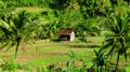 hut in the middle field