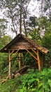hut in the middle of the forest made of wood Royalty Free Stock Photo