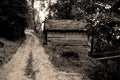 Abandoned Hut in mountains, pathway in the forest sepia