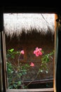 Hut near windows flowers Royalty Free Stock Photo