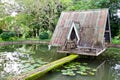 The hut over lotus swamp Royalty Free Stock Photo
