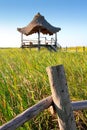 Hut palapa in mangrove reed wetlands Royalty Free Stock Photo