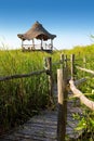 Hut palapa in mangrove reed wetlands Royalty Free Stock Photo