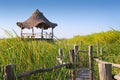 Hut palapa in mangrove reed wetlands Royalty Free Stock Photo