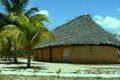 Hut and palm Royalty Free Stock Photo