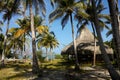 Hut and palms. The Rosario Islands. Royalty Free Stock Photo