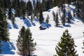 Hut among the pines submerged by the snow Royalty Free Stock Photo