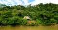 Hut In Rainforest