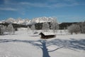 Hut with reflection of tree in snow, Kitzbuhel