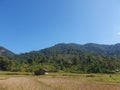 Hut in rice field, northern Laos Royalty Free Stock Photo