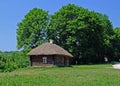 A hut with a thatched roof.