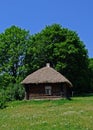 A hut with a thatched roof.