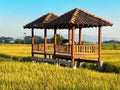 hut. Traditional farmer hut in the middle of rice fields in Asia. gazebo, ,pergola, shack, hovel, cottage in the rice fields Royalty Free Stock Photo