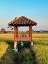 hut. Traditional farmer hut in the middle of rice fields in Asia. gazebo, pergola., shack, hovel, cottage in the rice fields Royalty Free Stock Photo