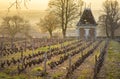 Hut in vineyards, Beaujolais, France Royalty Free Stock Photo