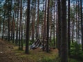 Hut in the woods. Royalty Free Stock Photo