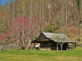 Hutchinson Homestead at Stone Mountain State Park Royalty Free Stock Photo