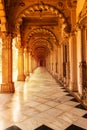 Hutheesing Jain Temple in Ahmedabad Royalty Free Stock Photo