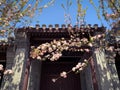 Hutong and allery in Beijing Royalty Free Stock Photo