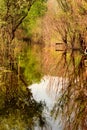 Hutovo Blato nature reserve, reflections in green water