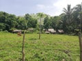 Huts of Mangyan tribe in the hills of Mindoro, Philippines