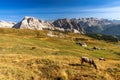 Huts on Seceda mountain, South Tyrol