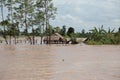 Huts on stilts, Mekong River, Vietnam Royalty Free Stock Photo