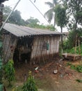 Huts are used by shepherds when moving livestock between seasonal grazing in madhubani india