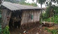 Huts are used by shepherds when moving livestock between seasonal grazing in madhubani india