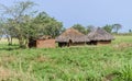 Huts in the Village in Uganda, Africa Royalty Free Stock Photo