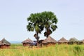 Huts in the village in Uganda, Africa Royalty Free Stock Photo