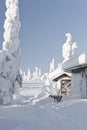 Huts on winter landscape