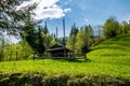 Hutsul hay barn on a green field