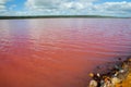 Hutt Lagoon Pink Lake Royalty Free Stock Photo