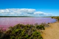 Hutt Lagoon Pink Lake Royalty Free Stock Photo