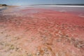 The pink waters of Hutt Lagoon. Port Gregory. Western Australia. Australia Royalty Free Stock Photo